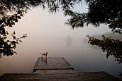 Framed On The Dock